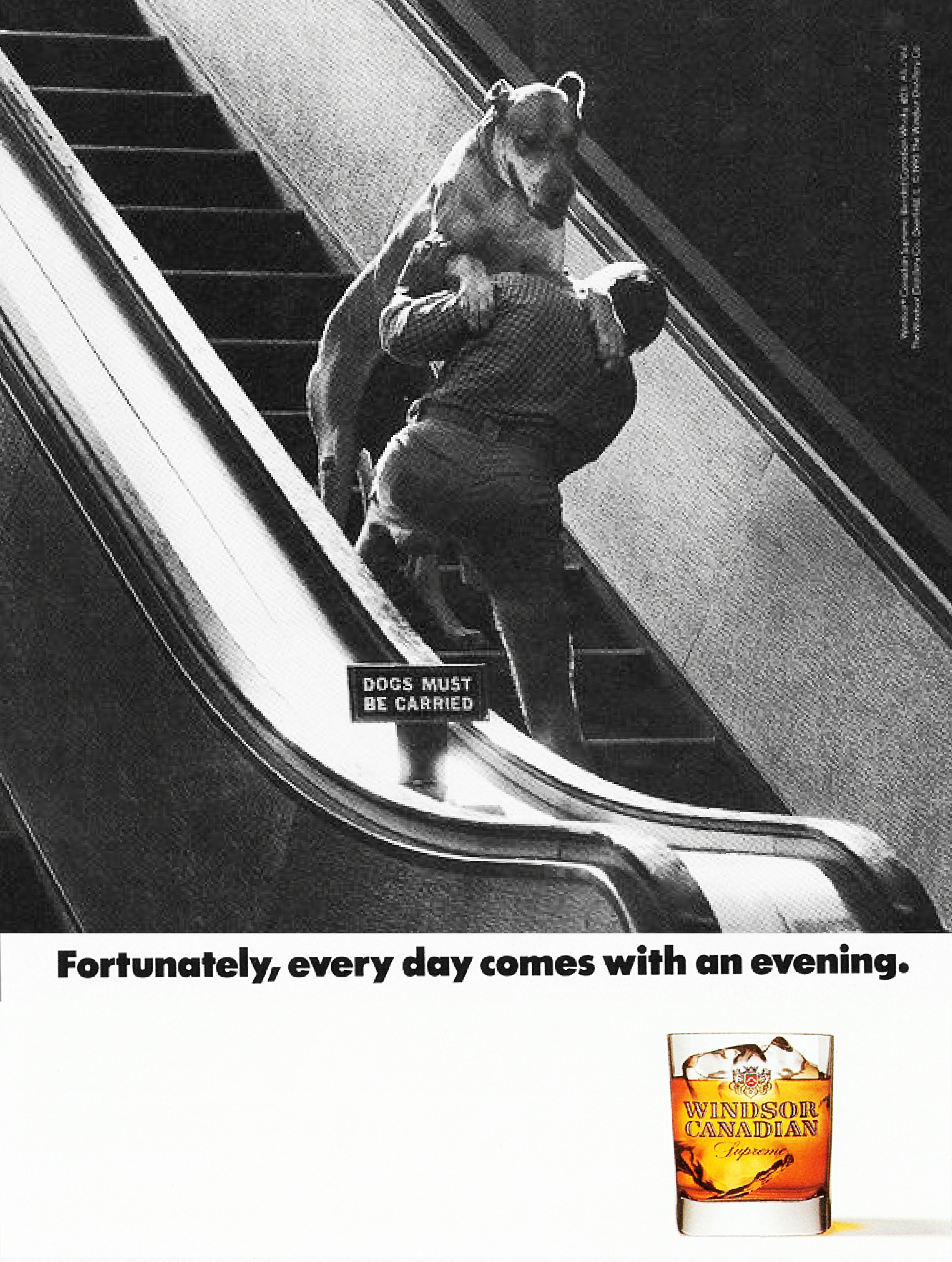 Escalators